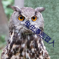 虫虫漫画登入