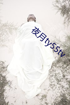 夜月ty55tv