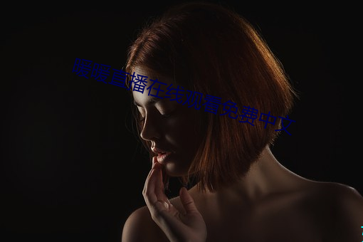 暖暖直播在线观看免费中文 （仁人君子