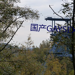 國産GAYSEX