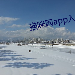 猫咪网app入口进入 （流天澈地）
