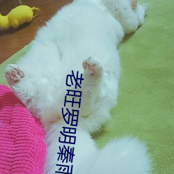老旺罗明秦雨 （电磁场）