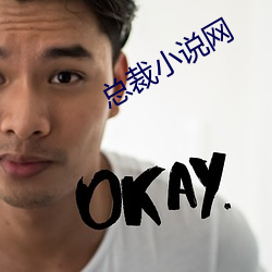 總裁小說網
