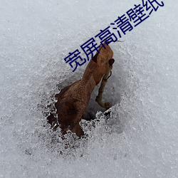 寬屏高清壁紙