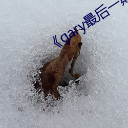 《gary最后一期完整版视频观看