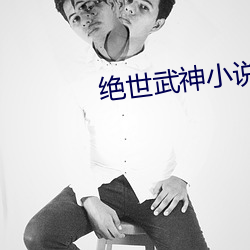 绝世武神小说