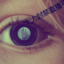 十大封禁直播平台(台)