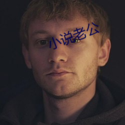 小说老公