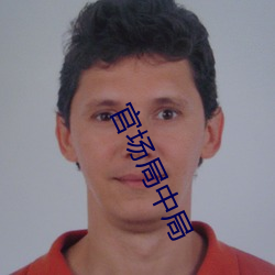 官场局中局