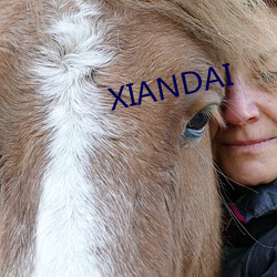 XIANDAI