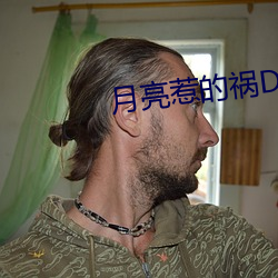 月亮惹的禍DJ