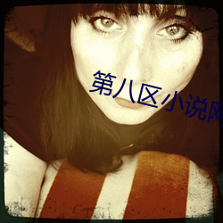 第(第)八区(區)小(小)说网(網)