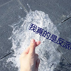 我真的是反派啊 （流行雨散）