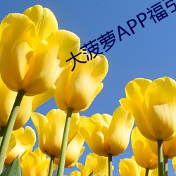 大菠萝APP福(fú)引(yǐn)导前往绿巨(jù)