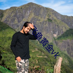 飞鱼黄金vk