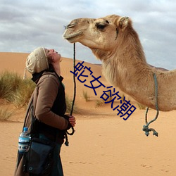 鸿运国际·(中国)会员登录入口