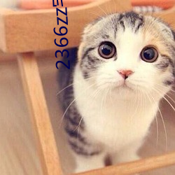 2366zz宅宅理(lǐ)论