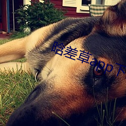 晗差草app下载