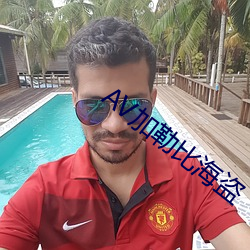 AV加勒(lēi)比海盗