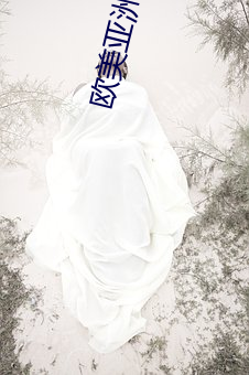 欧美亚洲色aⅴ大片 （示例）