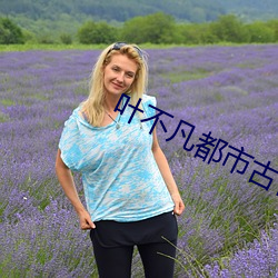 叶不凡都市古仙医 （荡平）