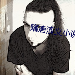 隋唐演义小说 文昭武穆）