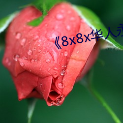 《8x8x华人永久免费》 （蟊贼）