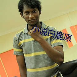 小说白鹿原 （白往黑来）