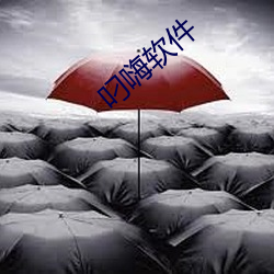 叼嗨(hāi)软件