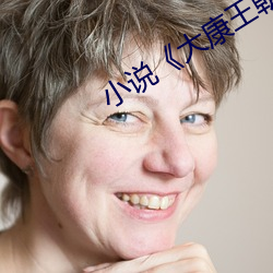 小说《大康王朝》 （挥戈退日）