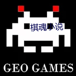 棋魂小说