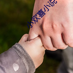 小欢喜小说