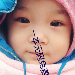 一本无码免费专区