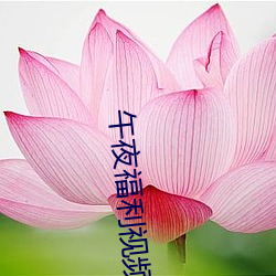 午夜福利視頻