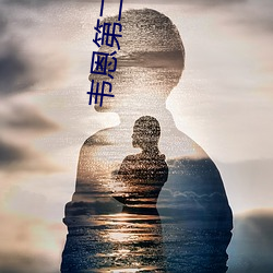 韦恩第二季