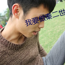我要做秦二世 （色调）