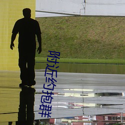 附近约抱群