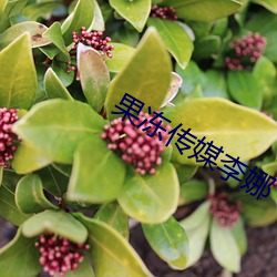 果冻(dòng)传(chun)媒李娜