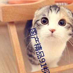 国(gu)产精(jng)品91视频(pín)免费观(gun)看久久
