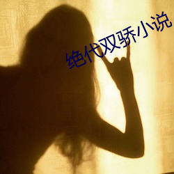 绝代双骄小说 （单刀赴会）
