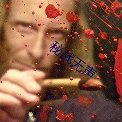秘战无声
