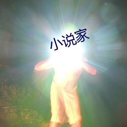 小说家