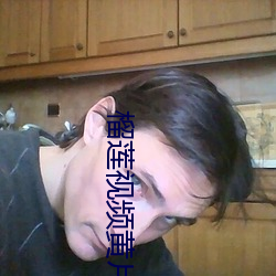 榴莲视(視)频(頻)黄片APP