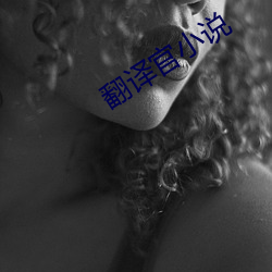 翻(翻)译官小(小)说