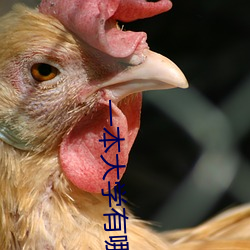 一本大學有哪些學校