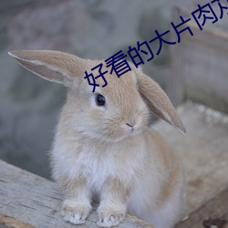 vwinӮ(й) - ٷվ