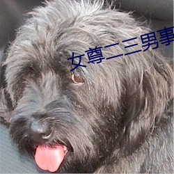 suncitygroup太阳集团--官方网站