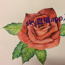 sky直播app入口 （沈烽静柝）