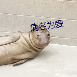 病(病)名为(爲)爱