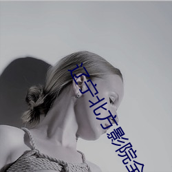 辽(liáo)宁北方影院全集